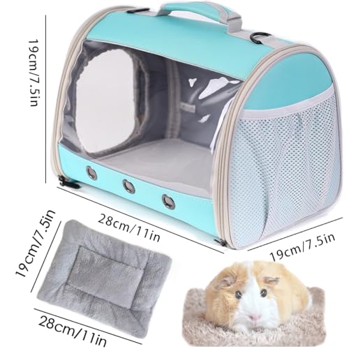 Bearded Dragon Travel Carrier Backpack,Lizard Backpack Carrier,Space Capsule Clear Bubble Window Astronaut Reptile Carrier Backpack for Guinea Pig,Sugar Glider,Bunny (Green, TPU Carrier+MAT) - color: Green