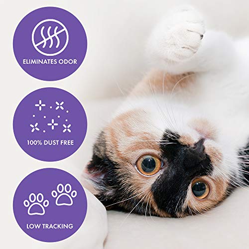 Ultra Pet Clumping Crystal Cat Litter, White Crystals with Multicolor Crystals, 5 Lbs (Pack of 2) - size: 5 Pounds (Pack of 2)