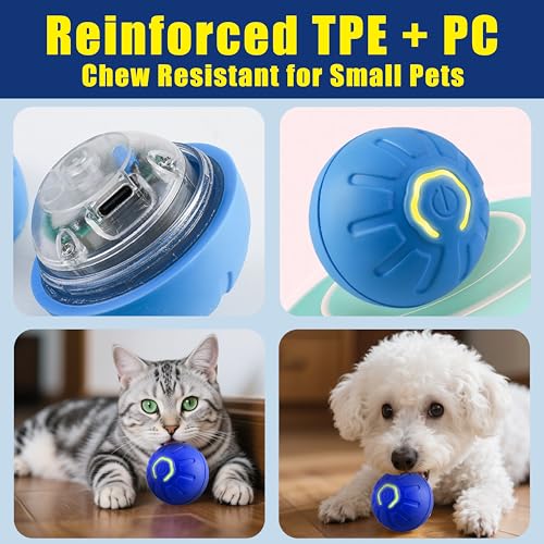 Interactive Self-Moving Pet Toy Ball - Motion-Activated Auto Rolling, Military-Grade Chew Resistant, USB-C Rechargeable for Small Dogs & Cats (Orange, Small) (Blue, Small)