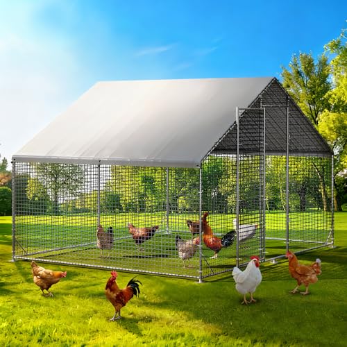 Large Walk-in Chicken Coop with Chicken Run, Galvanized Poultry Enclosure with Waterproof Anti-UV Cover and Security Lock, Ideal for Rabbit, Duck, Backyard and Farm Yard，9.8'x 6.6'x 6.6' - size: 117.6"L x 78.7"W x 78.7"H