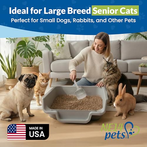 KittyGoHere Senior Cat Litter Box, Jumbo Litter pan with Long-Handle Jumbo Scoop, Open Top Low Entrance Kitty Litter Box, Lightweight Low Entry Litters Box, Durable, Made in USA (2 Pack - Misty Gray) - color: Misty Gray, size: Jumbo(2 Pack) with Scoop