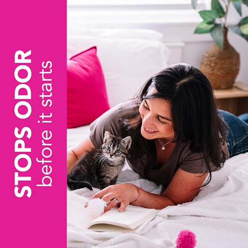 ökocat Super Soft Natural Wood Clumping Cat Litter, Odor Control, 22 Lbs - size: 22 lbs, style: Super Soft