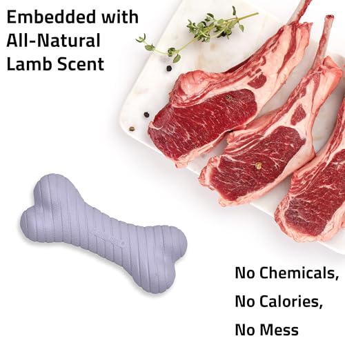 Playology Dual Layer Bone Dog Chew Toy - Medium, Lamb Scent | Rubber Construction, All Natural Scent, Heavy Duty Design - size: Medium, style: Lamb