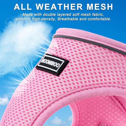Dog Harness with Leash Set, Step-in Adjustable Puppy Vest, Rose Red XXS | Lightweight Breathable Air Mesh, Night Safety Reflective, No Pull Puppy Vest Harnesses for Small Medium Large Dogs, Cats - color: Rose Red, size: XXS(Chest:10"-12")