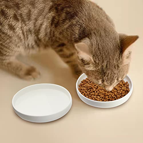 Ceramic Cat Bowls,Shallow Cat Dishes for Food and Water, 6 inch Matte Finish Wide Cat Food Bowl,Whisker Fatigue Free Pet Puppy Kitten Bowl Set of 3,Dishwasher Safe - color: White-3pack