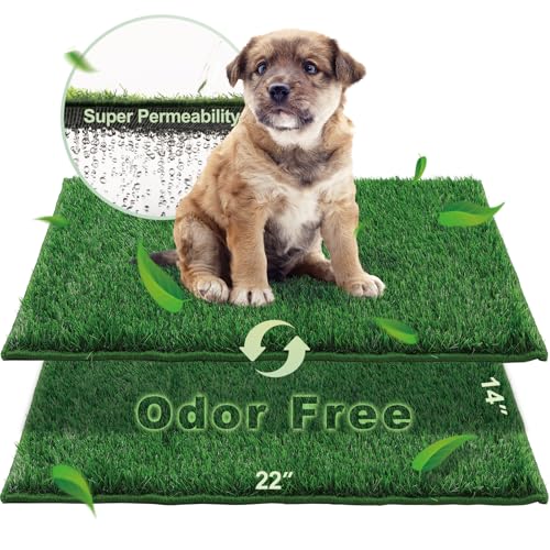 Grass Pee Pads for Dogs Potty, Artificial Grass Patch Odor Free | 2PCS Fake Grass with Fully Permeable Backing for Fast Drainage, Indoor Potty Grass Hemmed Edge Turf, Easy Clean - size: S - 22'' x14'' for Dog＜ 19" Length