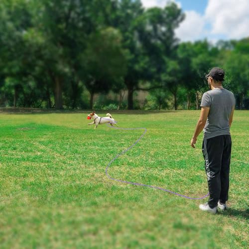 Reflective Cat Long Leash 50 FT, Outdoor Backyard Cat Tie Out Lead,Purple | Backyard Play, Reflective Nylon Rope, Dual 360° Swivel Hooks, Lightweight Cat Tie Out,Purple L, Small Pets - color: Purple, size: 50 FT