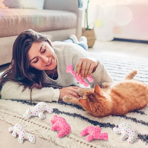 MALLMALL6 6Pcs Frosted Animal Cookie Catnip Crinkle Paper Sound Toys Gift for Cat, Catmint Teething Chew Kick Interactive Toy for Indoor Cats, Soft Candy Pet Presents Supplies for Kitten Lover - style: Animal Cookie（with Crinkle Paper）