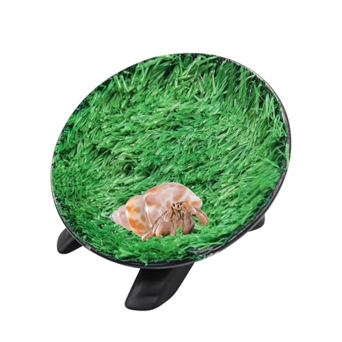Hermit Crab Climbing Toys, Hamster Wheel, Reptile Tank Accessories, Hermit Crab Supplies, Running Wheel Toys