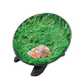 Hermit Crab Climbing Toys, Hamster Wheel, Reptile Tank Accessories, Hermit Crab Supplies, Running Wheel Toys