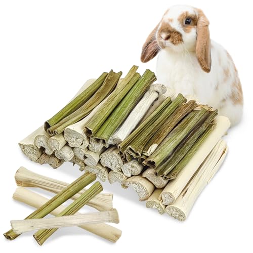 Tfwadmx Rabbit Chew Sticks, 25 Pcs Natural Sweet Bamboo Pet Snacks &40 g Papaya Stems Bunny Chews Molar Treats Chew Toy for Rabbit Guinea Pig Hamster Chinchilla - size: 0.02 Ounce (Pack of 50)