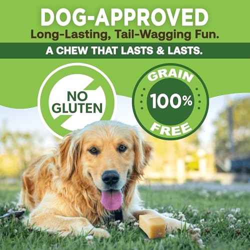 EcoKind Yak Cheese Himalayan Dog Chews, Yak Chews for Large Dogs, 4-5 Bones | 1 Lb, Long Lasting for Aggressive Chewers, Only 3 Ingredient Natural High Protein Dental Dog Treats, No Additives or Lactose
