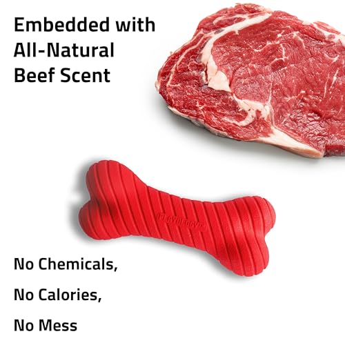 Playology Dual Layer Bone Dog Chew Toy - Medium, Beef Scent | Rubber Construction, All Natural Scent, Heavy Duty Design - size: Medium, style: Beef