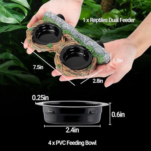 REPTI ZOO Magnetic Reptile Feeding Ledge, Gecko Feeder Ledge with 4PCS Cups, Hollow Vine Food Dish, Reptile Water Bowl for Bearded Dragon Lizard Snake Turtle, Terrarium Tank Accessories - size: Magnetic- Dual Feeder