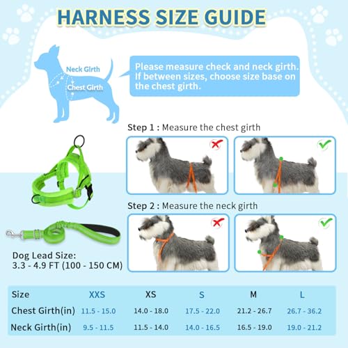 SlowTon No Pull Small Dog Harness and Leash Set with Front Clip | Soft Padded, Neck & Chest Adjustable, Lightweight, Anti-Twist, Puppy Vest Harness Pet Lead Combo for Small Medium Dog, G XS - color: Green, size: X-Small