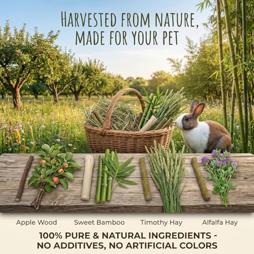 Bunny Chew Stick Rabbit Toy Treat 140g 4 in 1 Molar Stuff Organic Natural Snack Apple Branch Sweet Bamboo Timothy Hay Alfalfa Food Clean Teeth Hamster Chinchilla Parrot Gerbil Squirrel - style: 140g (4 in 1)