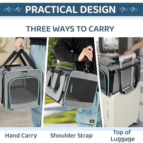 GAPZER Cat Carrier American, United, Delta Airline Approved Soft Travel Bag | Pet Airplane Crate Medium Cat 15 lbs Privacy Curtatin, Small Dog Crate Under 10 Pound TSA Approved Softsided Carry Cage Cabin - size: 17"x11"x11"