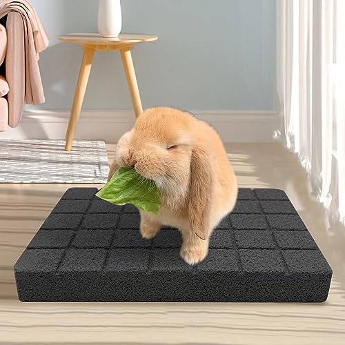 Hamiledyi Rabbit Scratch Foot Pads Bunny Grinding Claw Pad 4 PCS Small Animal Lava Grinding Teeth Stone Hamster Grinding Teeth Block for Guinea Pig Rat Gerbil Chinchilla Hedgehog - color: Black-4PCS