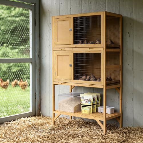 GDLF Wooden Quail Cage Indoor, 2-Tier Quail Coop with Pull-Out Trays | Ideal for indoor quail housing, with a pull-out tray, open shelving, and ventilated panels