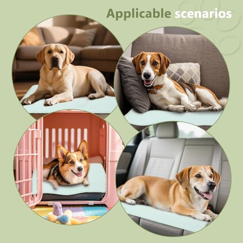 SOMOYA Cooling Mat for Dogs Non-Slip Arc-Chill Pads | Cooling Pad for Dogs Q-Max 0.45 Foldable Washable Absorbs Pet Heat Fast Suit for Indoor Outdoor Summer Use for Cats Dogs - color: Green, size: Medium (29.5x18.8 IN)