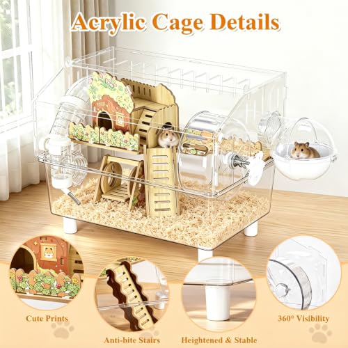 Acrylic Hamster Cage 2 Tier 23 Inch with Transparent Base | All Accessories Included, Large Silent Dwarf Hamsters Wheel, Tunnel Enclosure, Wood Hideout, Swings for Gerbils Mice
