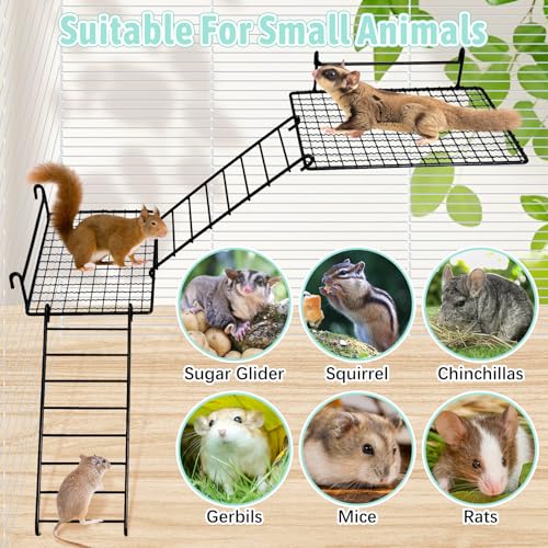 BNOSDM 4 PCS Sugar Glider Toy Stainless Steel Platform Squirrel Perch with Climbing Ladder Small Animals Cage Accessories for Guinea Pig, Chinchillas, Gerbils, Mice, Rats, Mouse - color: Black