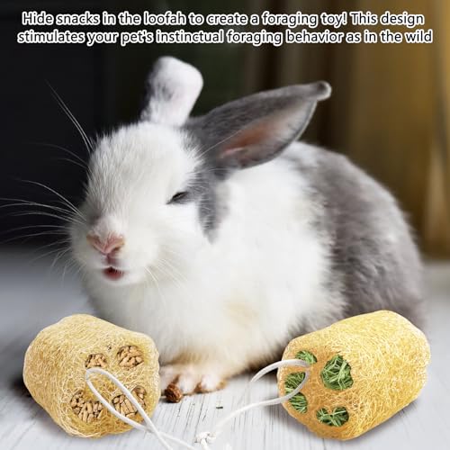 12 Pcs Rabbit Chew Toys Natural Bunny Loofah Chew Toy Chinchilla Teeth Grinding Toys Guinea Pig Fibre-Rich Treats Enrichment Bunny Accessories for Rabbits Hamster (M) - color: M- (12 PCS)