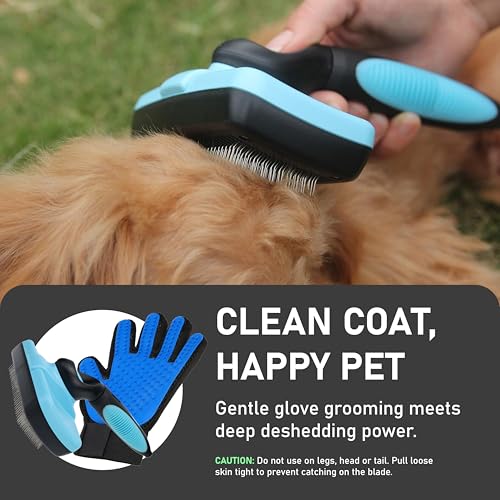 Maxpower Planet Pet Grooming Brush, Shedding Undercoat Rake, Dogs | Blue, Double-Sided Deshedding & Detangling, Rubber Non-Slip Handle, For Cats, Gloves Included - color: C1 - Brush & Gloves, size: Large