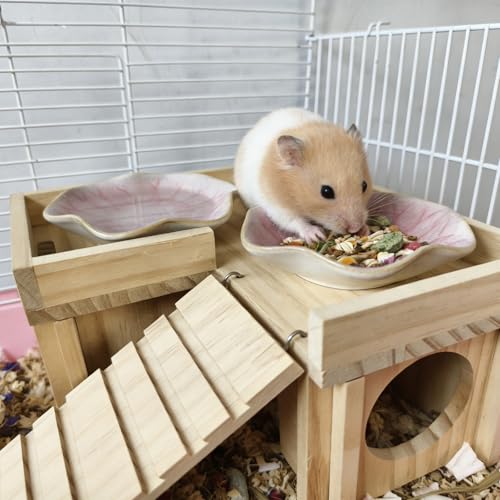 Kathson Ceramic Hamster Food Bowl, Guinea Pig Food Bowls,Rats Anti-Turning Feeding Dish,Small Animals Water Drinking Bowls for Squirrel, Chinchilla, Hedgehog, Gerbil, Dwarf Syrian (2 pcs Pink) - size: 2Pcs Pink