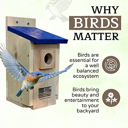 Made in USA,Rustic Cedar Bird Houses with Optional Camera (No Camera)
