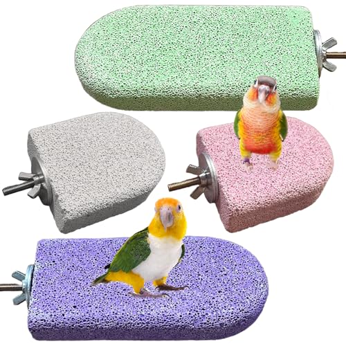 4PCS Bird Beak Grinding Stone,Parrot Perch Stands,Parakeets Platform Chewing Toys Calcium Pumice Lava Foot Claws Trimmer Climbing Ledge for Cockatiel Budgie Conures Lovebirds(Multi-Color) - color: 4Pack Colorful | S & L