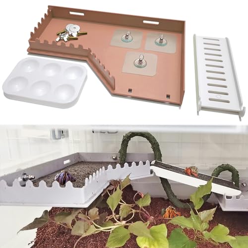 Hermit Crab Accessories - Platform with Ladder and Food Dish, Hermit Crab Climbing Toys, Habitat Supplies and Tank Accessories for Reptiles, Hamsters, Geckos, Small Lizards - color: Brown