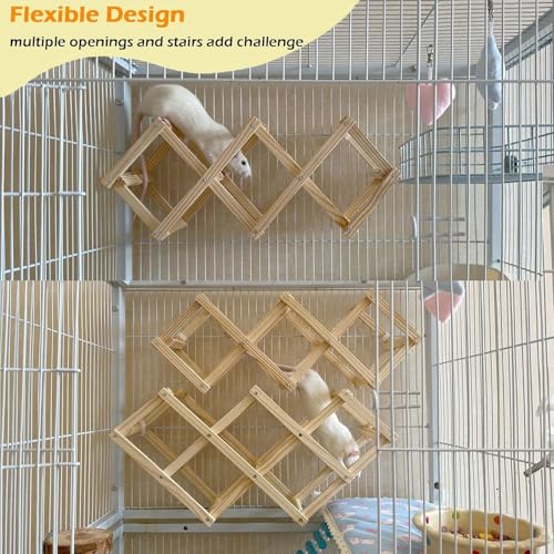 Kiln-Dried Wood Rat Climb Toy, Hanging Cage Ladder Activity (S, 1pc) | Natural Rat Cage Bridge, Multiple Openings & Directional Ramps Offer Challenges to Satisfy Rats' Instincts for Explore & Play - style: S, 1pc
