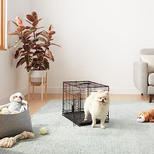 Amazon Basics Portable, Foldable Metal Wire Dog Crate with Removable Tray, Single Door, Divider Panel, Collapsible for Travel, 22 x 13 x 16 in, Black - size: 22.0"L x 13.0"W x 16.0"H, style: Single Door w/ Divider
