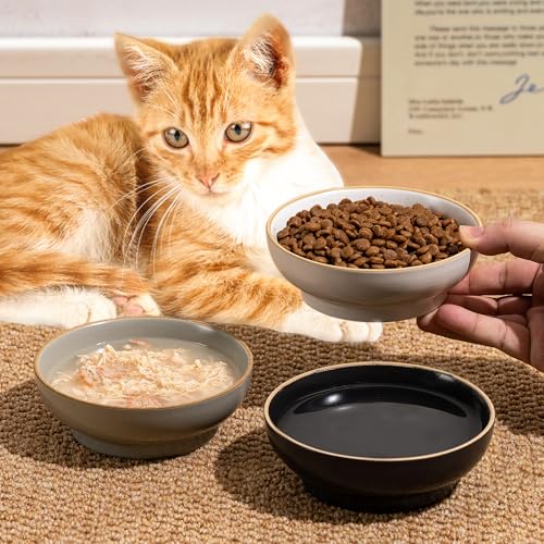 Cat Bowl, Ceramic Small Pet Bowl Pack of 3, Dishwash Safe Pet Food and Water Bowl Dishes for Small Dog, Fat Faced Cat, Kitten, Rabbits Puppy Birds(Safe Food-Grade Ceramic), White - color: White