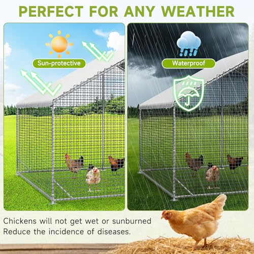 Large Walk-in Chicken Coop with Chicken Run, Galvanized Poultry Enclosure with Waterproof Anti-UV Cover and Security Lock, Ideal for Rabbit, Duck, Backyard and Farm Yard，9.8'x 6.6'x 6.6' - size: 117.6"L x 78.7"W x 78.7"H
