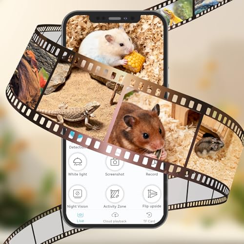 Hamster Cage with camera - 2.5K 5G Hamster camera for Chewproof Guinea Pig Cage Clear Small Animal cage with Open top Hamster Habitat Wooden mouse cage with Acrylic Panel 15.7*12*12 IN