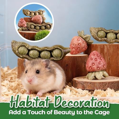 TEEWY 4PCS Guinea Pig Toys, Prevent Teeth Overgrowth, Natural Vegetables and Timothy Grass, Hamster Chew Toys, Guinea Pig Chew Toys, Chinchilla Toys, Peapod and Stawberry Chew Toy Set - style: 4PCS-Peapod and Stawberry