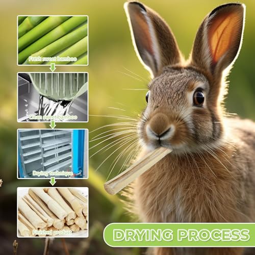 1lb Natural Sweet Bamboo Chew Sticks, Molar Teething Treats Toys for Rabbits, Bunnies, Guinea Pigs, Hamsters, Chinchillas, Rats & Other Small Animals - size: 1lb