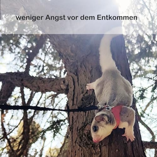 3 Pack Sugar Glider Harness and Leash Set Small Animal Training Walking Vest for Squirrel Hamster Rat-Brown - color: Brown