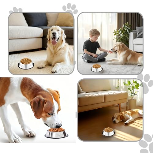 10 Pcs Stainless Steel Dog Bowl Pet Feeding Bowl with Rubber Base Non-Slip Pet Dishes Metal Dog Bowls Pet Food and Water Bowls for Small Medium Animals Kitten Rabbit (10.1 oz) - size: 10.1 oz