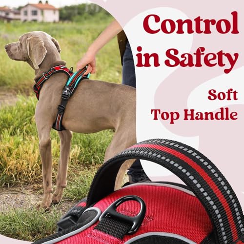 rabbitgoo Dog Harness Small Sized, Updated Easy On & Off with 3 Buckles | No Pull No Choke, Walking with 2 Clips and Handle, Adjustable Soft Reflective, Red, Small - color: Red, size: Small