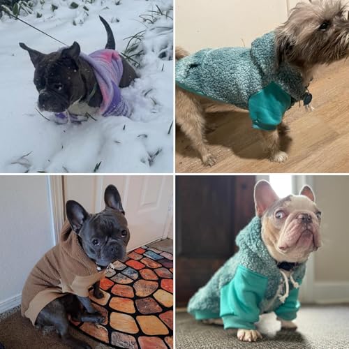 BINGPET Dog Hoodie for Small Medium Large Dogs, Sherpa Hooded Dog Sweater with Leash Hole for Boy Girl Dogs,Soft Warm Fleece Dog Winter Clothes Cold Weather Coats Jacket for Puppy Sweatshirt,S - color: Red, size: Small