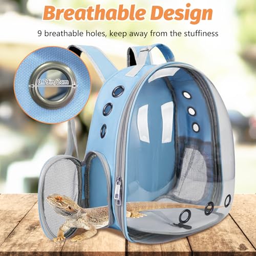 kathson Bearded Dragon Carrier with Harness and Leash Set, Large Reptile Travel Carrier Portable Lizard Backpack Clear Small Animals Carrying Bag for Gecko Hamster Rabbit Hedgehog Kitten (Blue) - color: Blue