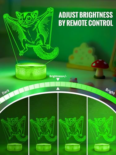 Sugar Glider 3D Night Light for Kids, LED 16 Colors Remote Control Changing Touch Dimmable Table Desk Lamp, Cute Animal Gifts forSugar Glider Lovers Animal Fans - color: Color E