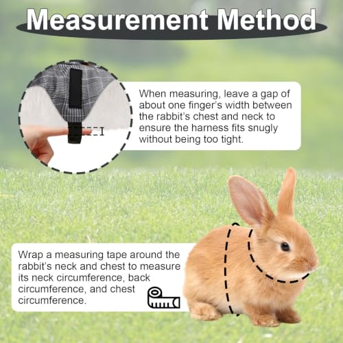 Hypeety Multipurpose Rabbit Vest Harness and Leash Set Adjustable Soft Vest | Breathable and ligthtweight vest, escape-proof buckles, adjustable neck and chest, for bunnies/kittens, formal suit style, L - size: L