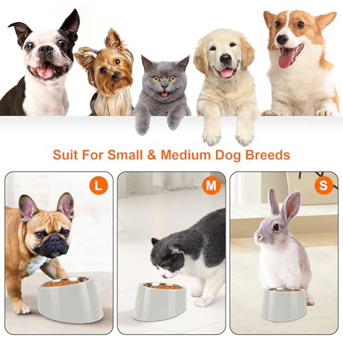 Tilted Dog Bowl Non-Slip & Non-Spill Pet Feeder with Elevated Detachable Melamine Stand, Easy to Get Food Dog Dish, S/100ml Gray - color: Grey, size: Small(100ml)