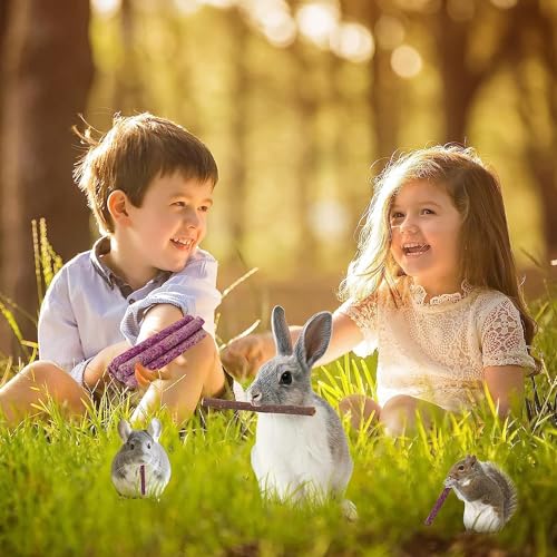 70PCS 10Flavors Bunny Chews Toys Sticks, Rabbit Toys for Bunnies Boredom, Guinea Pig Chinchilla Bunny Treats For Rabbits Timothy Hay Sticks For Chinchilla Guinea Pig Rabbit Bunny Indoor Outdoor