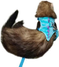 Ferret Harness and Leash Set Small Animals Vest Harness with Safe bell Dinosaur Shaped Walking clothes for Baby Rabbit Guinea pig Teacup Chihuahua Mouse and other small pet.(Blue Dinosaur) - color: Blue Dinosaur