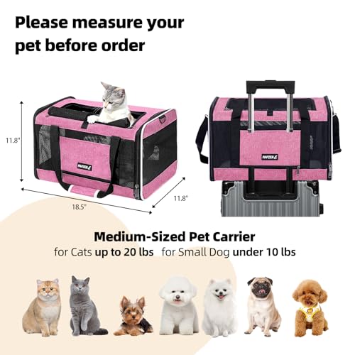 Cat Carrier Soft-Sided Travel Bag for Medium to Large Cat Over 15lbs | Small Puppy Dog Carry Crate 12 Pounds, Top Entry, Breathable Mesh, Pet Kitten Rabbit Cage Bag Transport Kennel Collapsible - color: Pink